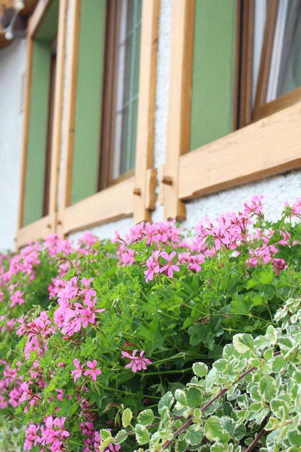Landgasthof Ritter Orsingen-Nenzingen Luaran gambar